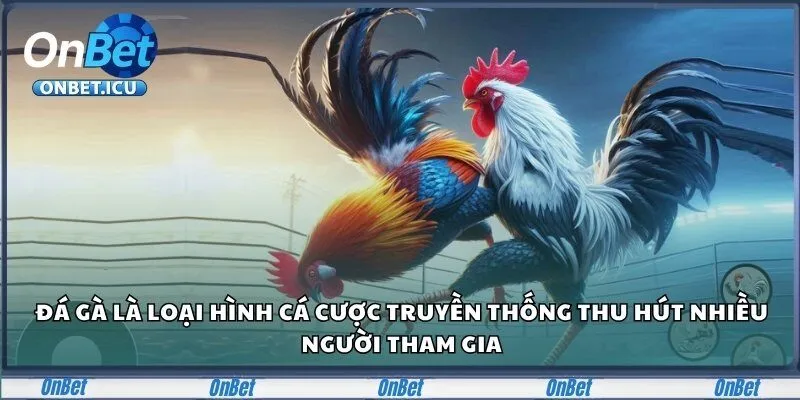 Onbet – Sân Chơi Cá Cược Đẳng Cấp Dành Cho Người Châu Á 23 Đá gà là loại hình cá cược truyền thống thu hút nhiều người tham gia